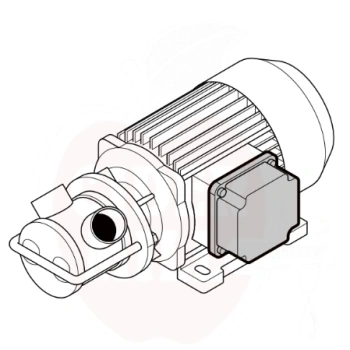 6236-6236-68076bbd93ba78-87134050-liverani-pump-with-terminal-board-connection.png.webp