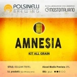Komplekt 55L täistera Amnesia Belgian Tripel