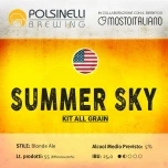 Komplekt 55L täistera Summer Sky Blonde Ale