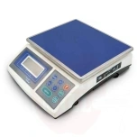 Kaal elektrooniline NWS 30K