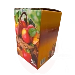 Säilituskoti kartongkarp 5L värviline