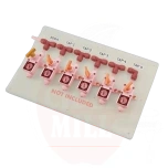 Gaasiplaat 6 väljundiga regulaatoritele