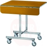 Heating Boxes Trolley Mod. CST300 (FORCAR MULTISERVICE) - CB970