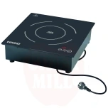 Recessed Induktionsplattor (EASYLINE) 320x340mm D350N