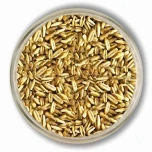 Õllelinnas Viking Kaer 3,5-7 EBC