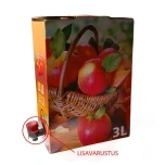 Säilituskoti kartongkarp 3L värviline väljundava kitsamal küljel