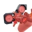 14658-2vak2ypp6askwqcyookgi57mezsbcyx5ukaa3zm5w6hthpjp5f.jpg.webp