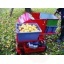 Apple picker OB50 harvest width 500mm 1.5t/h